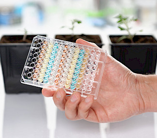 Bex Biotec – Münster