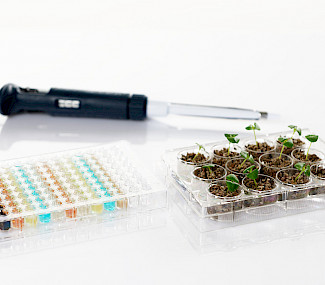 Bex Biotec – Münster